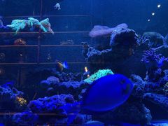 -暹罗酒肆泰餐厅酒吧