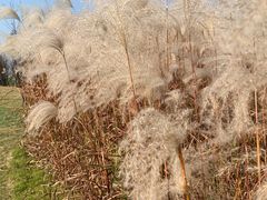 -同济大学(嘉定校区)