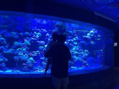 -太平洋海底世界