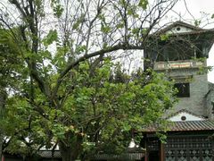 -东莞市可园博物馆