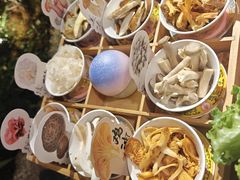 -菌自由丨野生菌火锅特色庭院餐厅(丽江古城店)