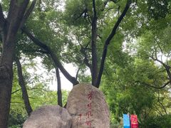 -上海方塔园