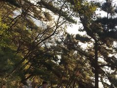 -燕窝岭