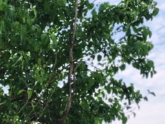 -西山漾湿地公园