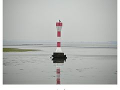 -太湖面馆十八浇(渔港路店)