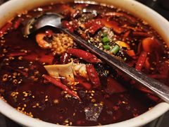 -鸽子侯·家宴·平价海鲜(市图书馆店)