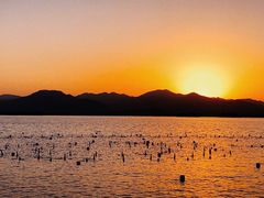 -第101座花园餐厅(湖滨88店)