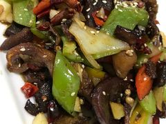 -新疆食府(华龙店)