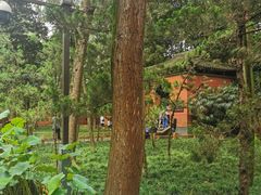 -成都武侯祠博物馆