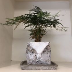 -THE LOG SALON 记录