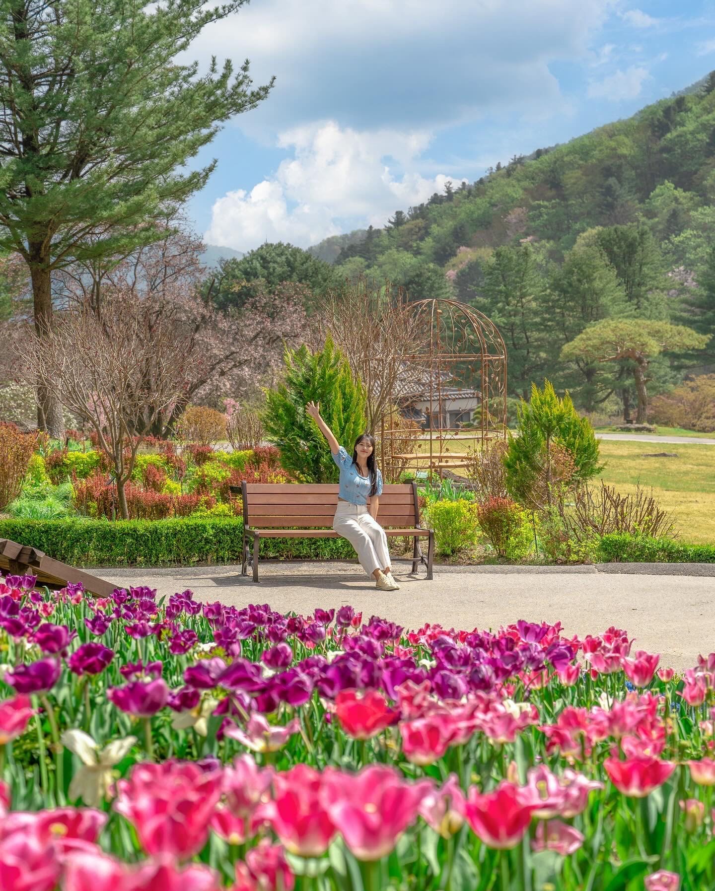 春天公园赏花漫步