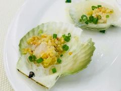 扇贝-新享乐海鲜(翠华路店)