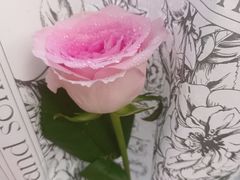 -FEI FEI FLOWER鲜花店·气球派对·宝宝宴布置(虹口德必运动Loft店)