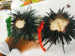 -板桥海鲜广场(文明东店)