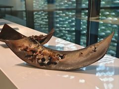 -中国美术学院象山校区-民艺博物馆