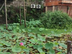 -两江国际影视城