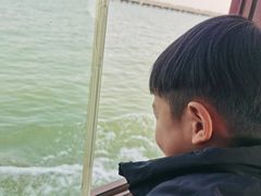 -南湖湿地公园