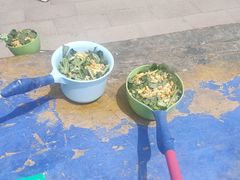 -新疆天山野生动物园