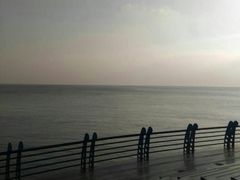 -瀛洲公园