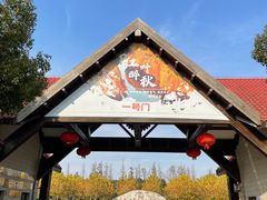 -上海海湾国家森林公园