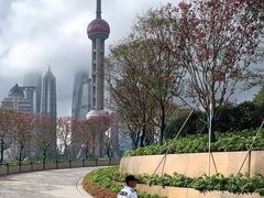 -上海港国际客运中心