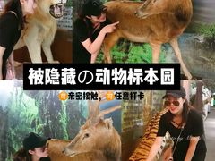 -宝岩生态观光园