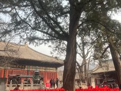 -红螺寺