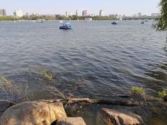 -长春市南湖公园