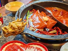 -蜀大侠火锅(总府路店)