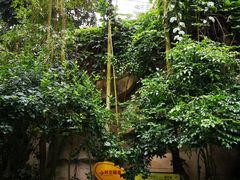 -南山植物园