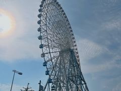-大阪海游馆