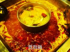 蜀九香火锅酒楼(九眼桥店)-蜀九香火锅(九眼桥店)