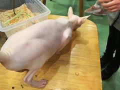 -藦茜花园宠物主题亲子互动体验馆(国顺东路店)