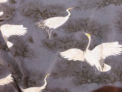 -蓝鲸湾汤泉(包河店)