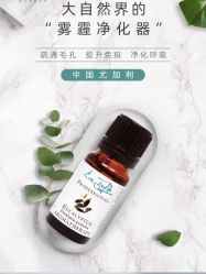 -东方美美容SPA会所