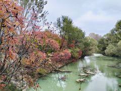 -长白岛森林公园