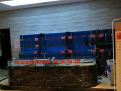 水产区-金蝉食府(维吉奥广场店)