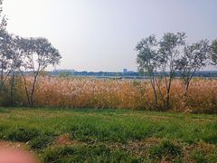 -绿堤公园