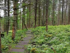 -硗碛藏寨·神木垒景区