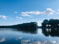 -大兴滨河森林公园