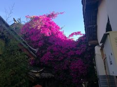 -大冰的小屋