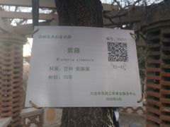 -大连植物园