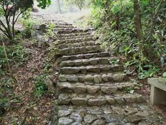 -千岛湖石林