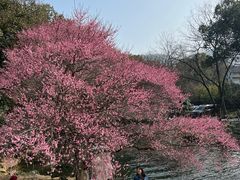 -中国茶叶博物馆(双峰馆区)