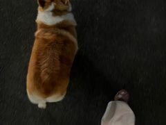 -肥朵食堂(带梦胡同店)