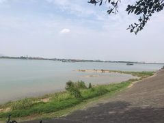 -八仔大富楼·河鲜(西江店)