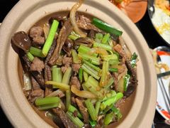 -塔哈尔·新疆盛宴(复地活力城店)