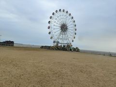 -奉贤海滩