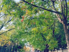 -天津五大道文化旅游区