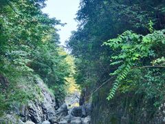 -天台山景区